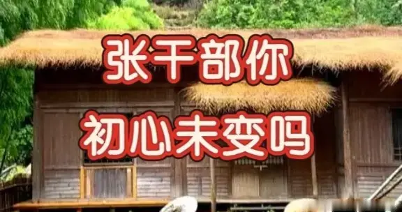 从“张干部”言行看立场与初心