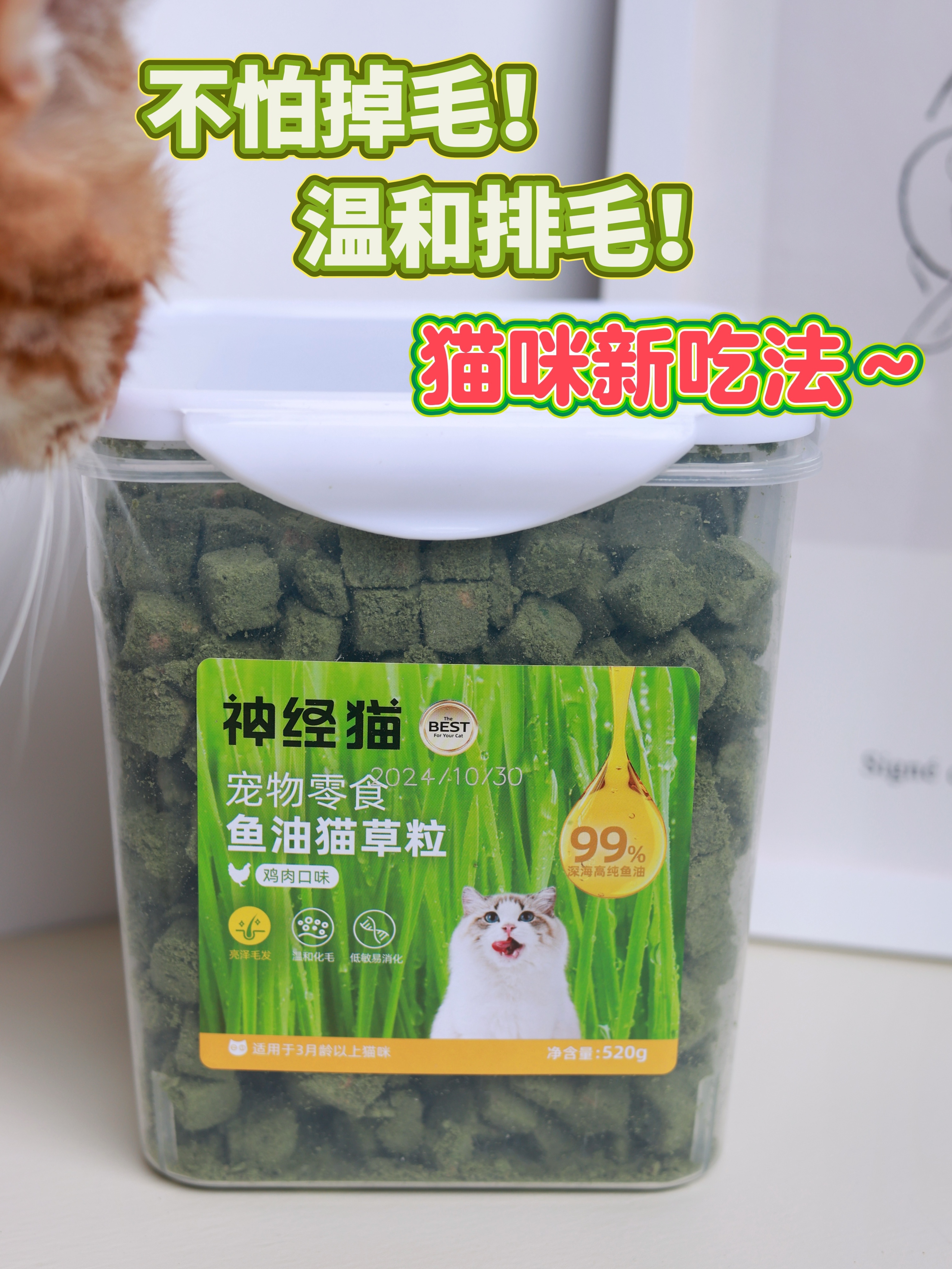 不怕掉毛！温和排毛！猫咪新吃法～