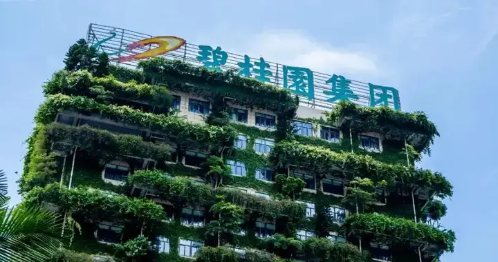 衡阳市耒阳市碧桂园破产重整