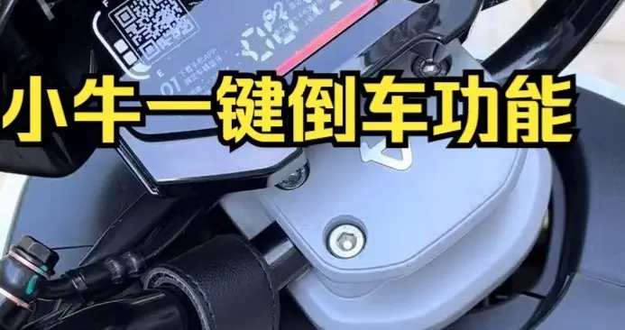为何买过九号和小牛的车主，不愿意再购买雅迪和爱玛？看详细分析