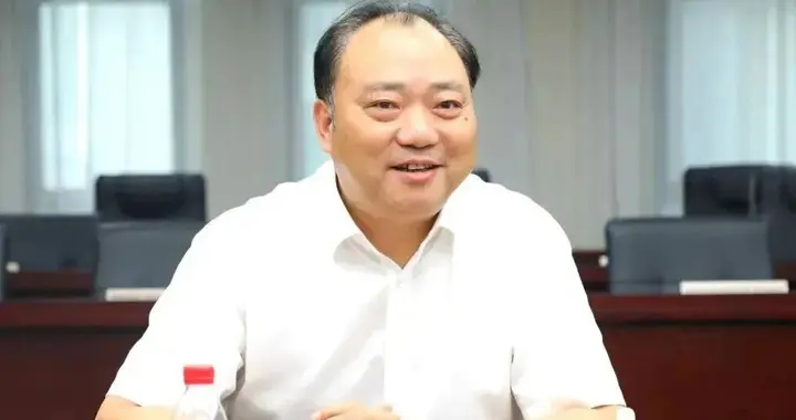 铜陵何成龙・仕宦覆辙记