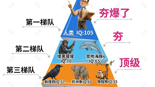 有匪君子er~：如果没有人类， 章鱼可以