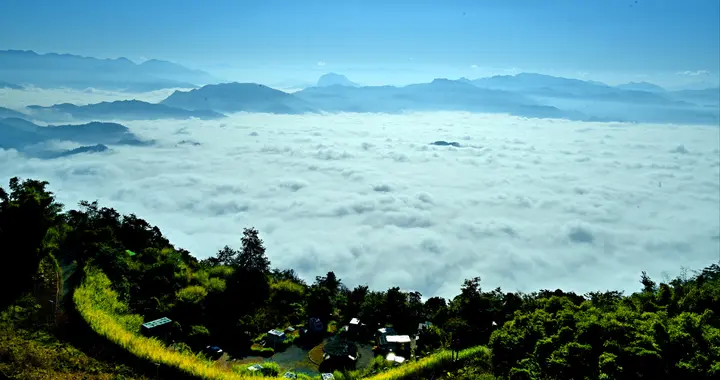 杨道超：冬日观云海