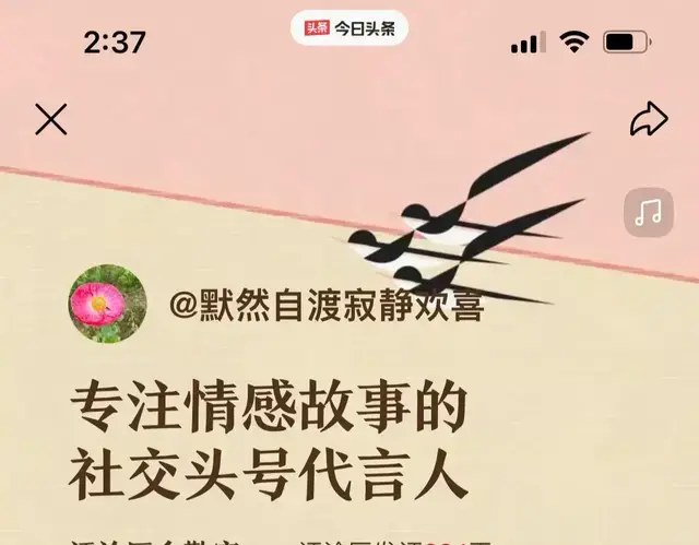 我的2024那些模糊清晰的记忆