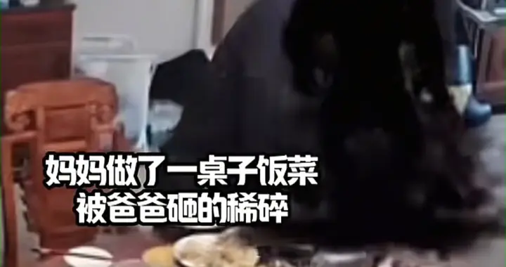 聚餐砸家后续！母女连夜出逃要离婚，父亲求原谅，聊天记录引争议