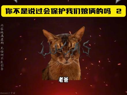 你不是说过会保护我们娘俩的吗 2