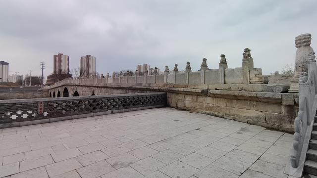 龙的传人——人物图志