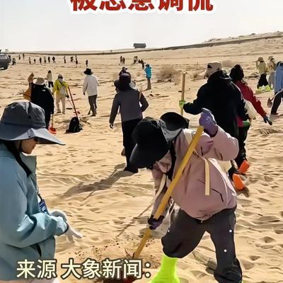 旁观者：公益植树活动，成了“选妃现场”？