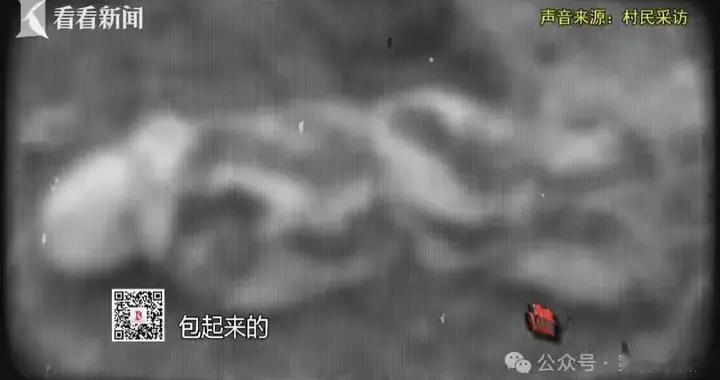 "血色包裹：上海荒地无名男尸案18年追凶记"