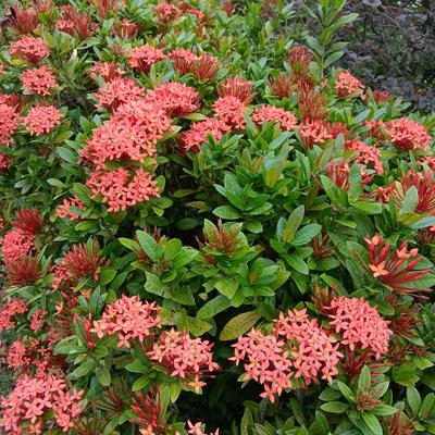 汤姐的大千世界