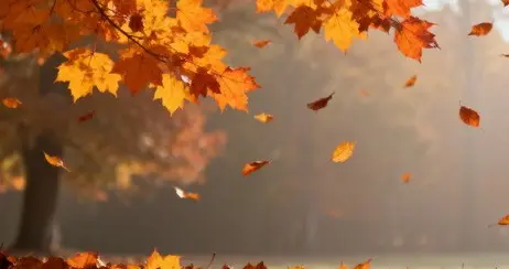 我把你藏进旧时光里，想了很多年