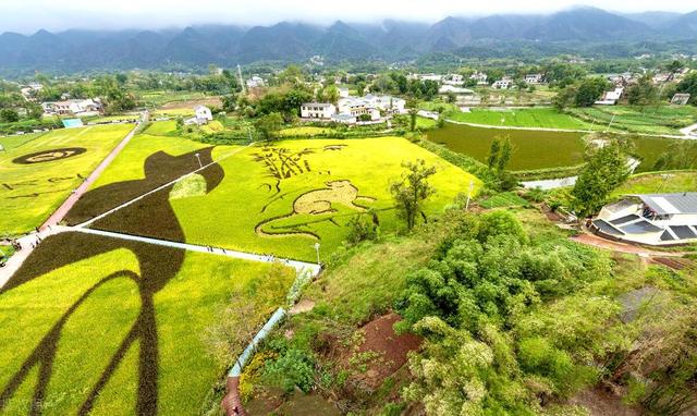 我国乡村旅游发展历程及深化研究趋向