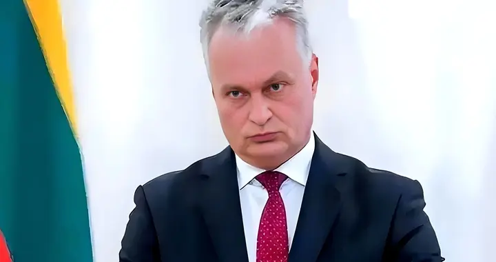 立陶宛终于知道痛了，中国打狗棒法越来越精湛，见一只打一只