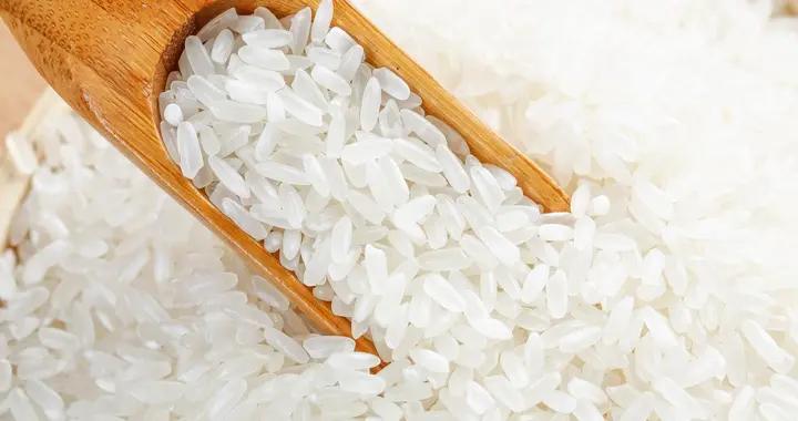 东北人靠这个特产，拴住了南方人的胃，南方人年年盼着它上市！