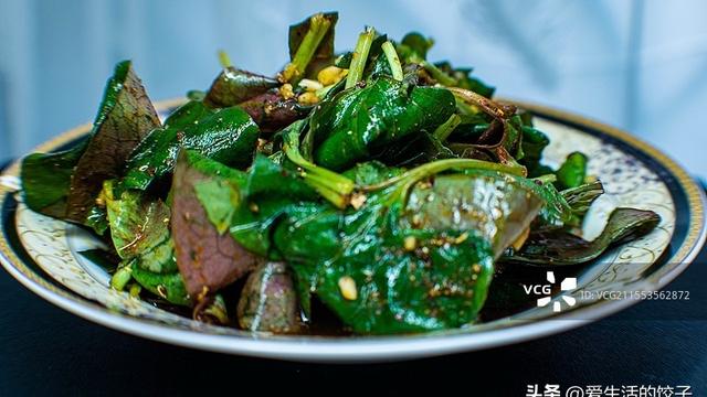 爱生活的饺子：春天