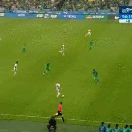 叮嘎狗狗爱运动：国内第一人韦世豪是豪门体