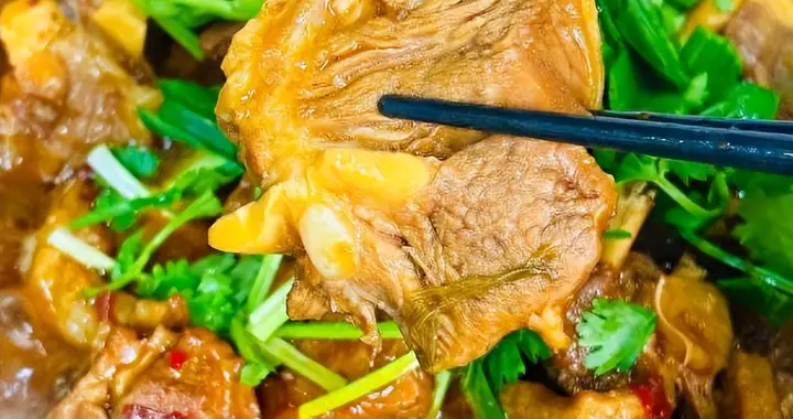 元旦一锅羊肉香炸天！全家抢勺打架，狗都急得说人话