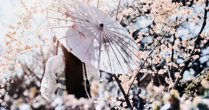 3月国内赏樱天花板！“世界三大赏樱胜地”之一，3万多株盛放