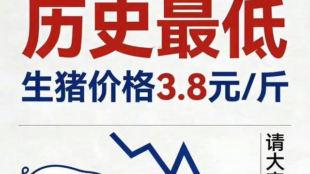 月隐日出看海边：这年头，猪都觉得活的没有