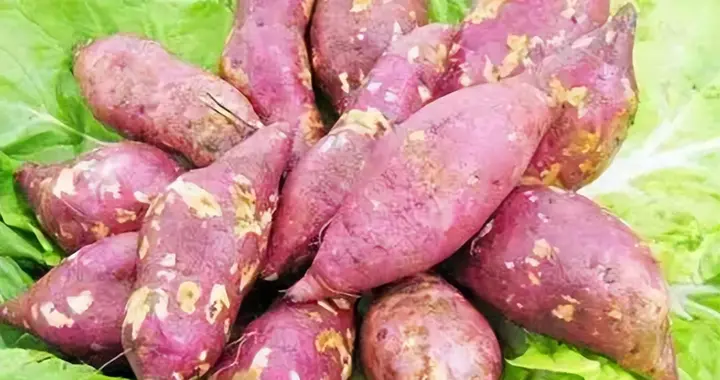 红薯：原本可以变成主粮，为何沦为了零嘴