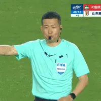 灵狼物语：给河南守门员王国明说句话，没必