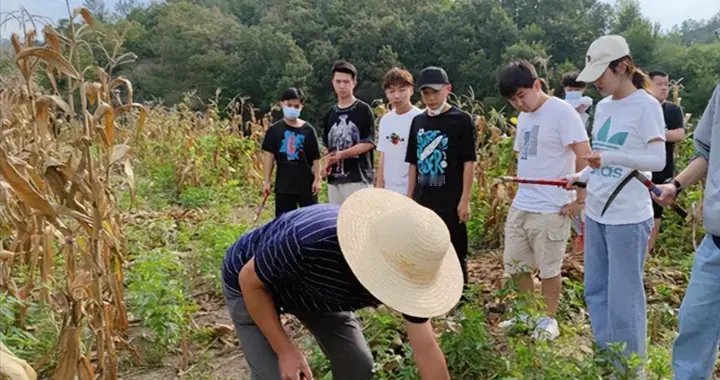 比不起跑线，比耐力：农村大学生的隐藏大招是什么？