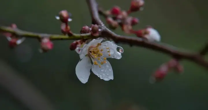 中年女人越爱你，越“主动”