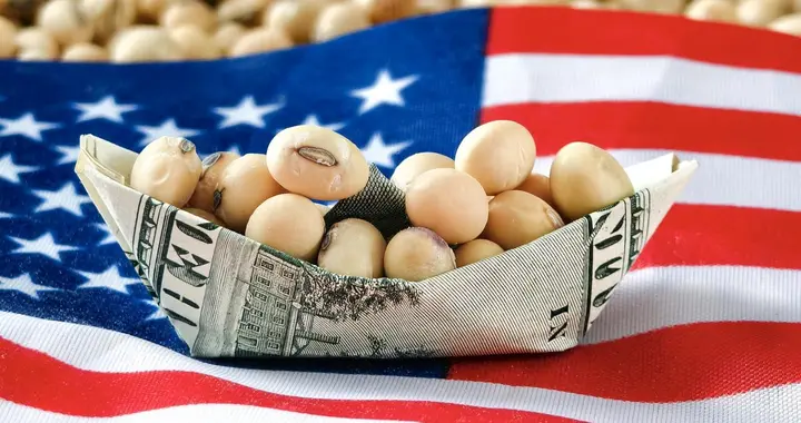 中国承诺采购美国大豆或推动全球海运需求增长