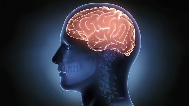 睡不好、老忘事？Nature最新研究揭开：睡眠与记忆力衰退的关联