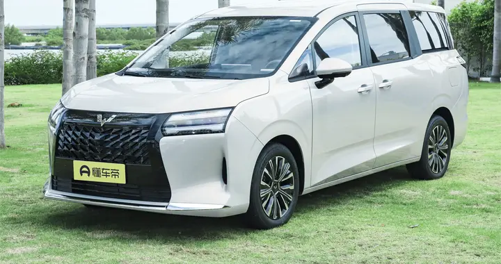 上下车体面不尴尬！星光 730 电滑门承包全家出行优雅感