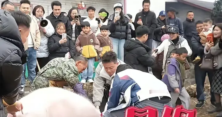 请网友杀猪后续：事情已传到国外，女子涨粉30万，最新发声曝光