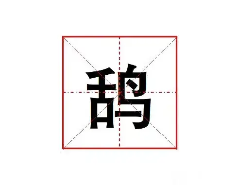 舌+鸟组成的“鸹”是什么字？什么意思？鸹是什么鸟？