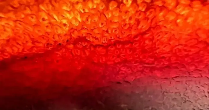 打灯看老犀角真假！为什么真品会发红？