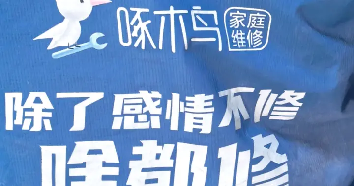 退市燃气灶卖天价、修坏瓷砖拒赔，啄木鸟为何屡教不改？