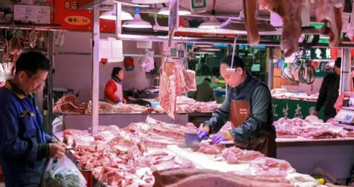 肉比菜贵成过去！猪肉5元一斤，卖一头亏400元：养猪为何成生死局