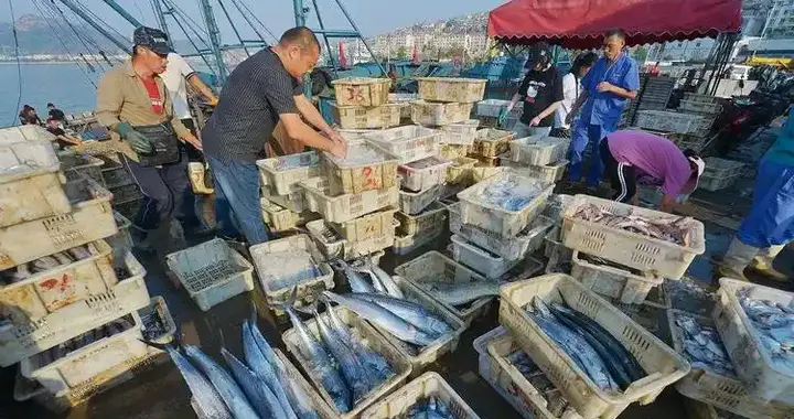 中国人刚躲过日本核辐射水产，印度就带臭鱼烂虾补上，咱招谁惹谁