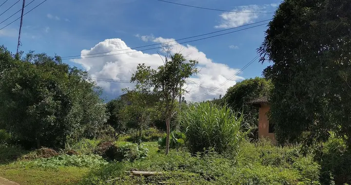 为啥越有本事的人，越不爱凑家族聚会的热闹？6个真相扎心了