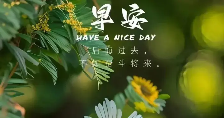 阳春三月，人间芬芳，早安，愿人随春好，春与人宜
