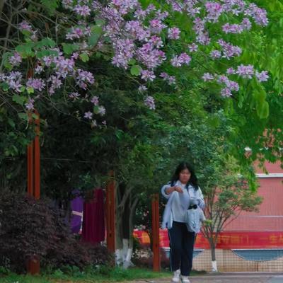 正直晚风5：2026华为影像大赛｜你参加