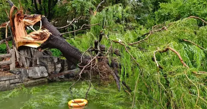 今天济南暴雨，狂风大作，1秒天黑，气温猛降10度，刷爆朋友圈