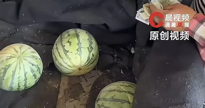 水果批发商指出河南西瓜便宜原因：非专业种植没消费者愿吃