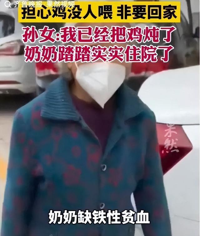 笑麻了！奶奶不愿住院担心没人喂鸡，孙女：已炖勿念！