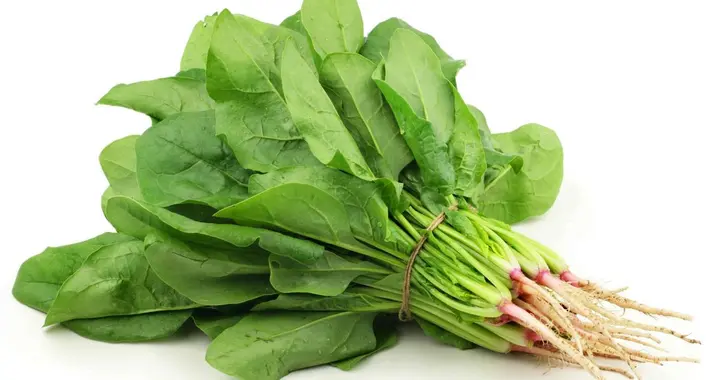 立春后是养肝黄金期，建议多吃6种蔬菜，养好肝，气血足，显年轻