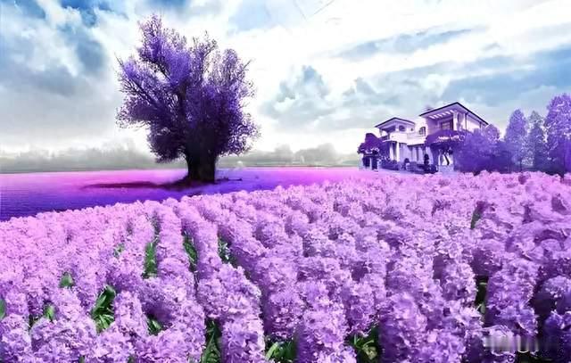 毁掉婚姻的，从来不是第三者，而是这3个习惯，赶紧改