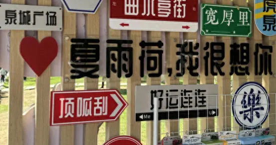 济南一女子荔枝核丢水杯，30天成“粉森林”，同事：美得仙气飘飘