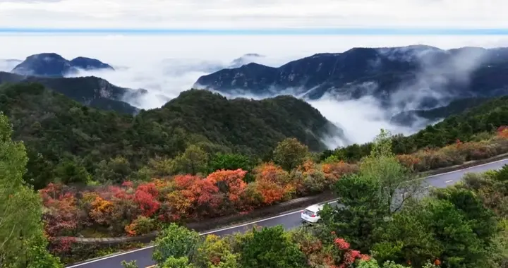 太行青龙峡爆火！云海裹着红叶的秋日盛景 这才是大自然的顶级浪漫