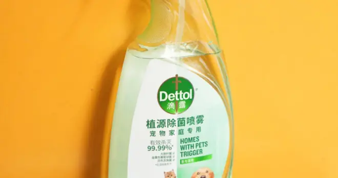 滴露宠物加码专业清洁赛道，推动人宠共居消毒标准升级