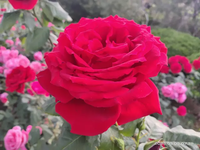 移动公司乱收费令人不齿！