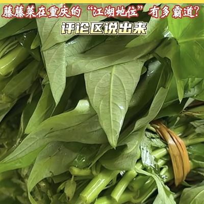 繁花看雨：入春四月，川渝的菜市场里已经飘