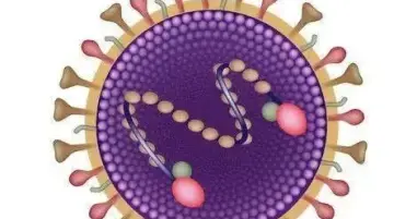 RSV来袭，宝宝咳嗽出现这种声音要警惕→